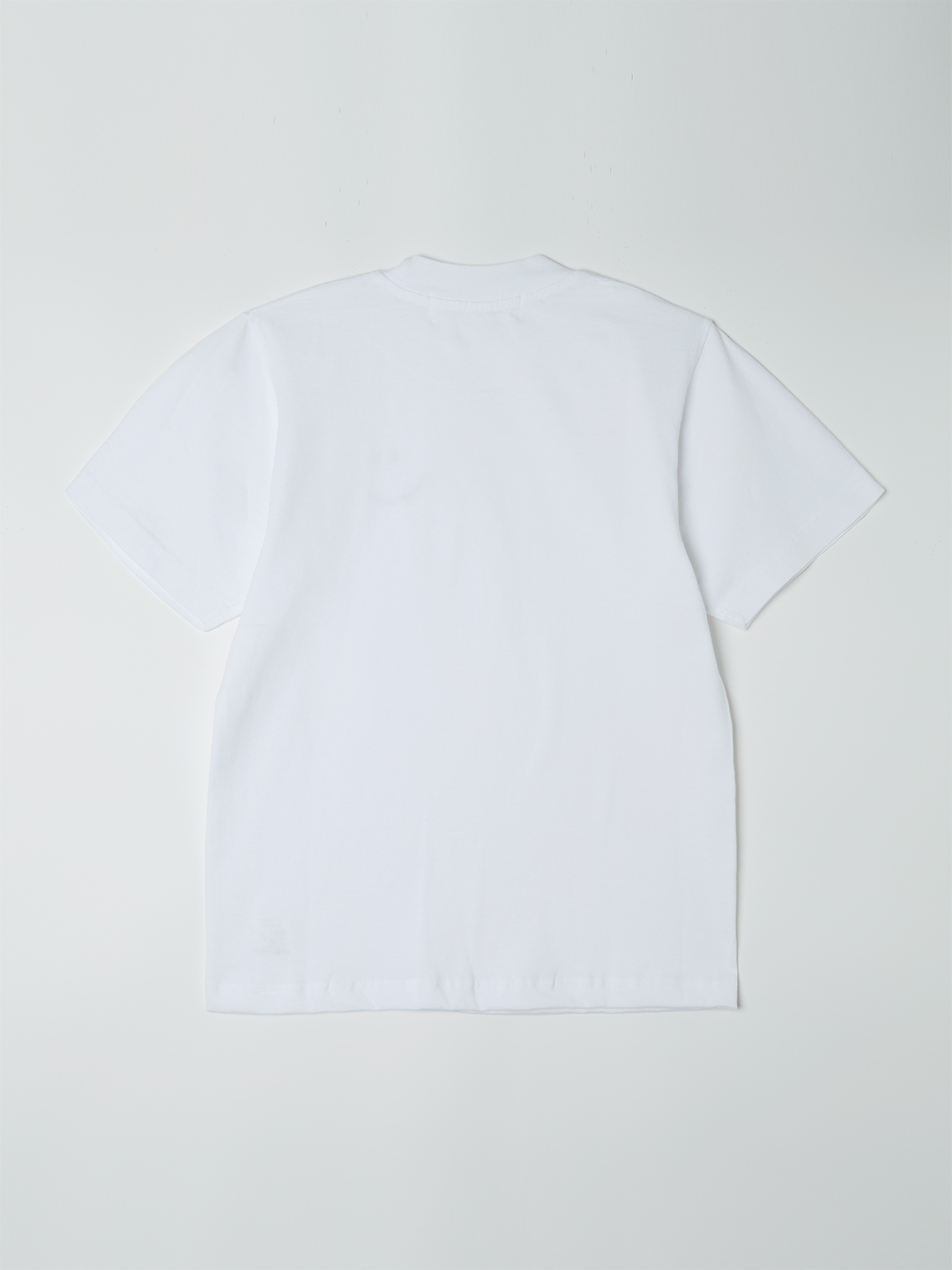 zzz t-shirt A 詳細画像 white 3