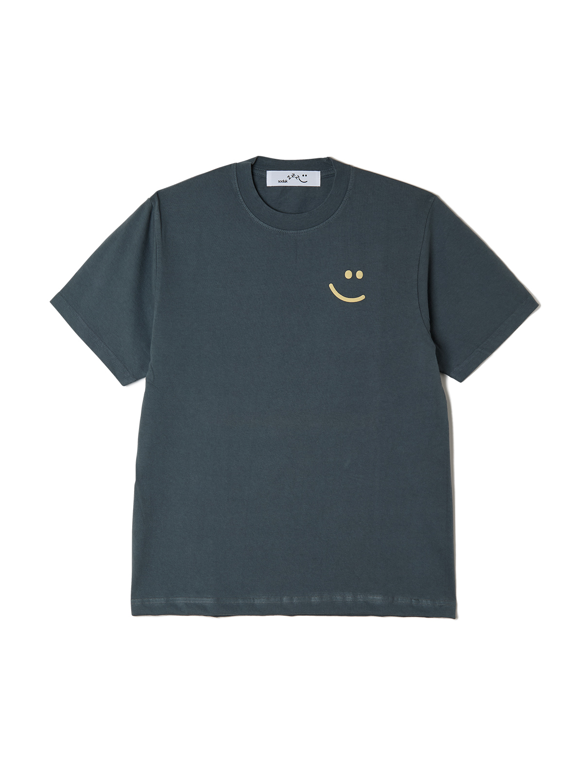zzz t-shirt A 詳細画像 gray 1