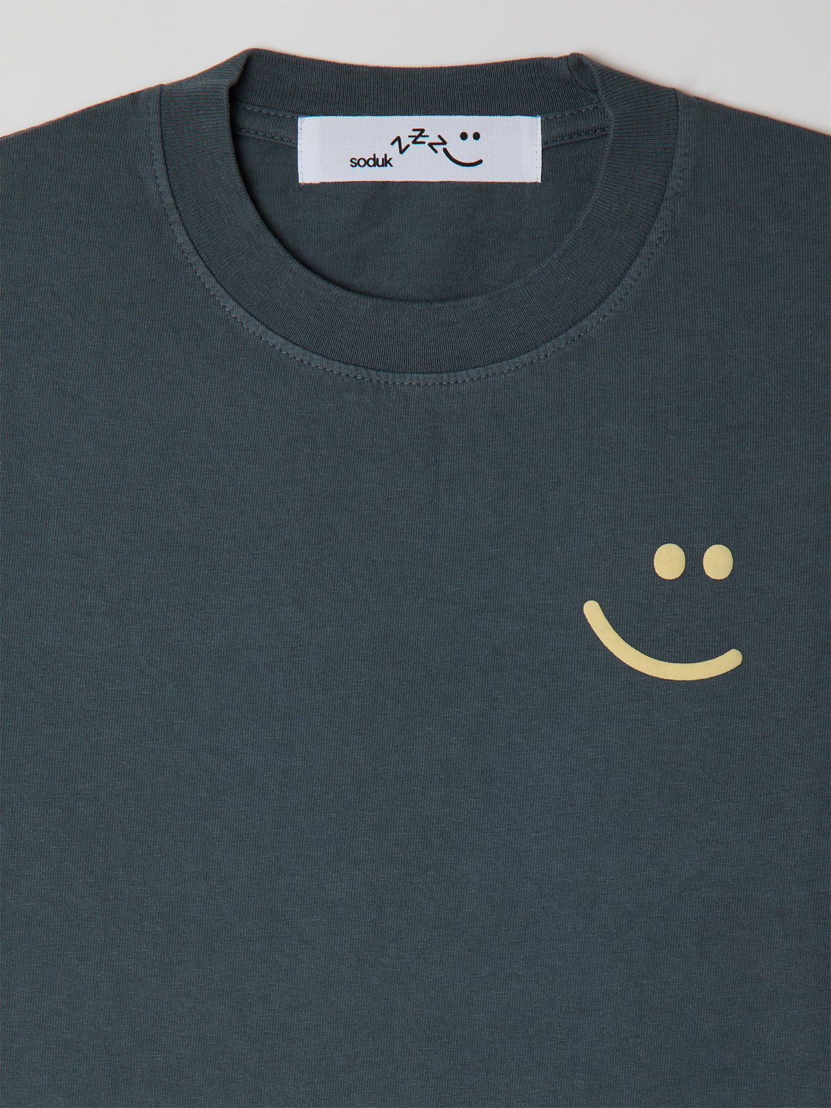 zzz t-shirt A 詳細画像 gray 4