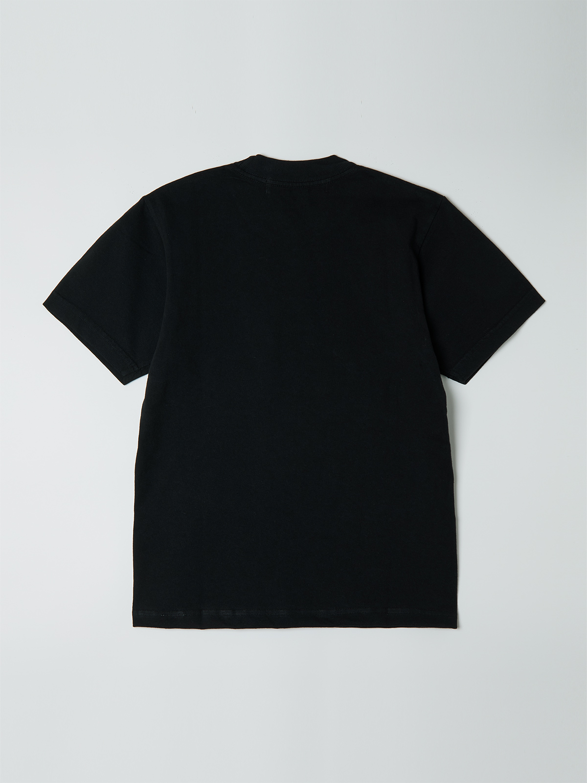 zzz t-shirt B 詳細画像 black 3