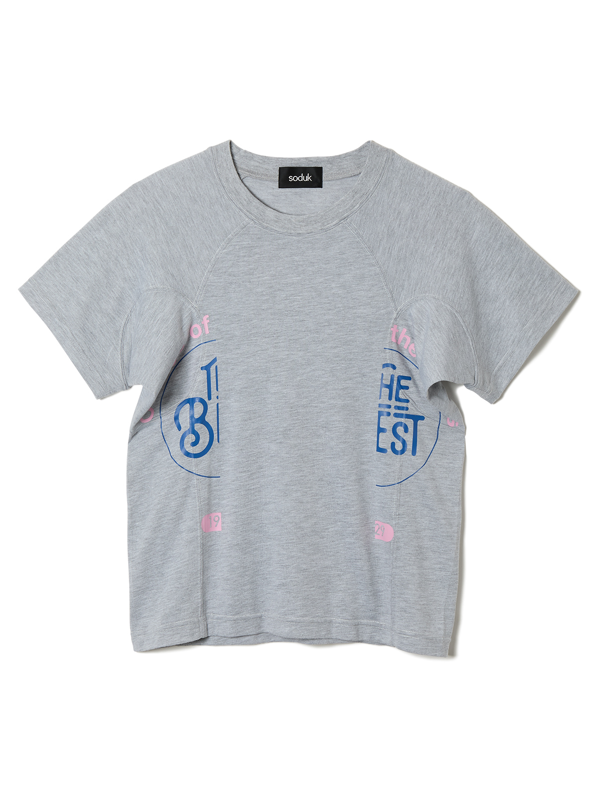 the best college t-shirt 詳細画像 gray 1