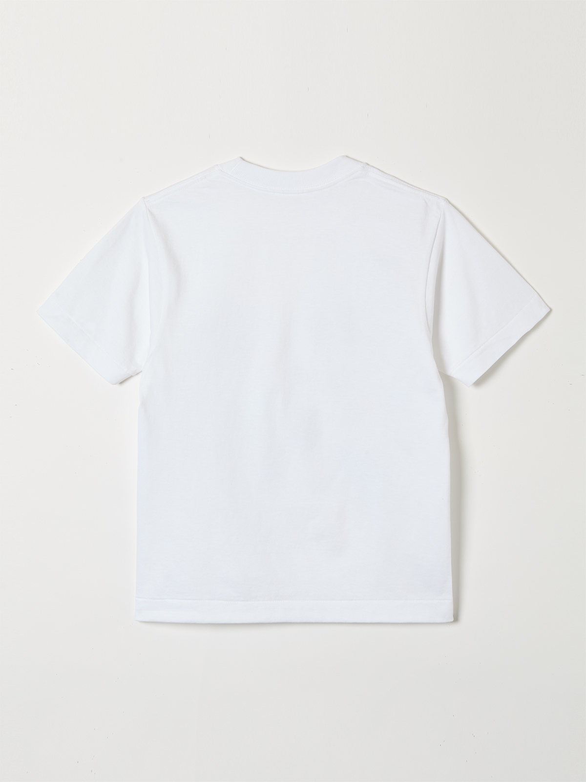 &ldquo;memory of summer&rdquo;orion beer t-shirt 詳細画像 white 2